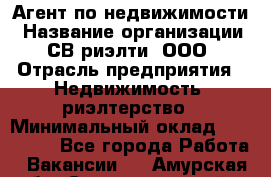 Агент по недвижимости › Название организации ­ СВ риэлти, ООО › Отрасль предприятия ­ Недвижимость, риэлтерство › Минимальный оклад ­ 100 000 - Все города Работа » Вакансии   . Амурская обл.,Селемджинский р-н